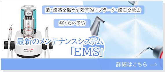 最新のメンテナンスシステム「EMS」